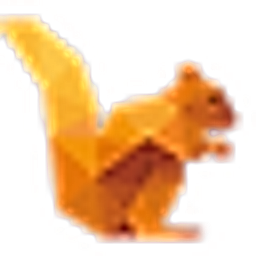 DataSquirrel logo