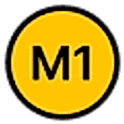 M1-Project logo